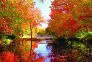 2016濟源金秋旅游推介會 暨王屋山紅葉節啟動儀式在鄭州舉行